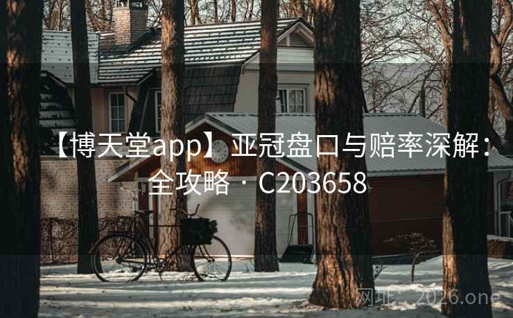 【博天堂app】亚冠盘口与赔率深解：全攻略 · C203658