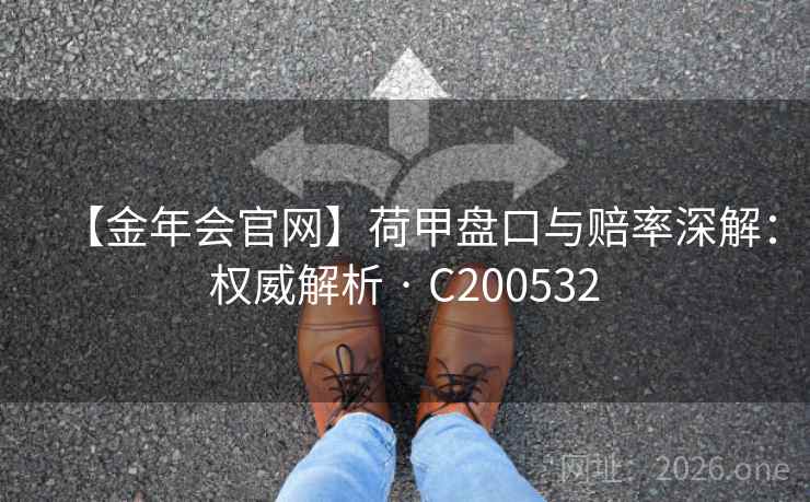 【金年会官网】荷甲盘口与赔率深解：权威解析 · C200532  第2张