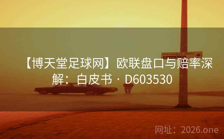 【博天堂足球网】欧联盘口与赔率深解：白皮书 · D603530